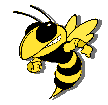 buzz